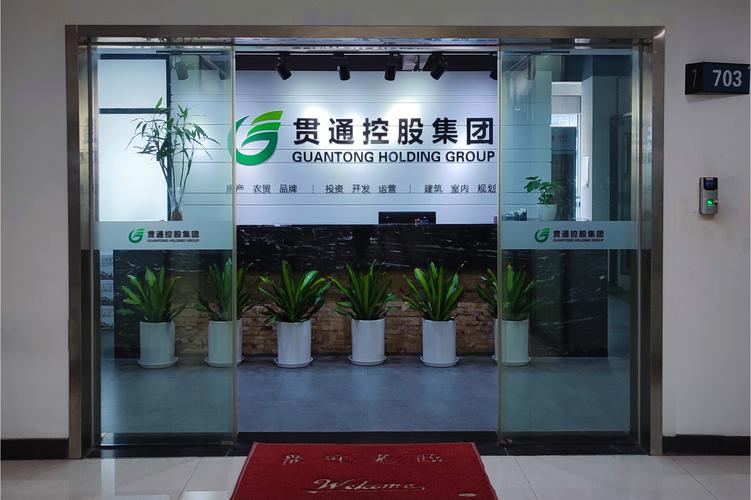 深析企业总部管理的核心职能与运作模式——以代表人张安林为例
